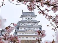 日本游之前你必須要了解的事！